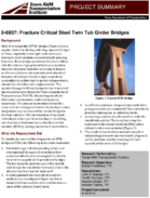 Fracture Critical Steel Twin Tub Girder Bridges Project Summary