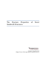 The Fracture Properties of Novel Sandwich Structures