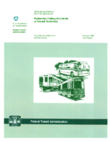 Pedestrian Falling Accidents in Transit Terminals