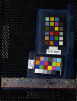 Consumer acceptance of RSV features