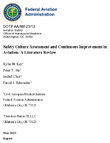 Safety Culture Assessment and Continuous Improvement in Aviation A Literature Review