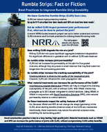 Rumble Strips Fact or Fiction Brief