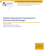Holistic Networklevel Assessment of Pavement Flood Damages