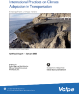 International Practices on Climate Adaptation in Transportation Findings from a Virtual Review