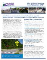 Safe Transportation for Every Pedestrian STEP