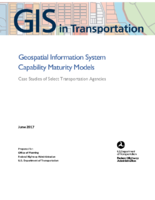 Geospatial Information System Capability Maturity Models