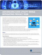 Advancing Data Utility While Mitigating Privacy Risk fact sheet