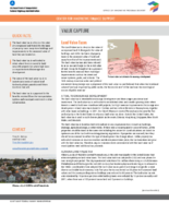 Value Capture Land Value Taxes