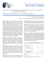 Light Trucks and Highway Fatalities The Role of Network Effects