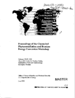 Proceedings of the Chornobyl Phytoremediation and Biomass Energy Conversion Workshop