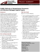 Methods of Rehabilitating Pavements with Moisture Damaged Asphalt Layers Project Summary