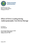 Effect of Pelvic Loading during Anthropomorphic Test Device Storage