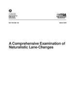 A comprehensive examination of naturalistic lanechanges