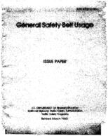 General Safety Belt Usage Issue Paper