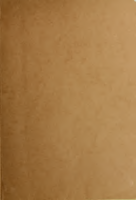 Morgantown Modelling