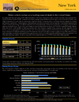 State Safety Fact Sheets New York