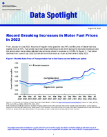 Record Breaking Increases in Motor Fuel Prices in 2022