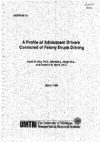 A profile of adolescent drivers convicted of felony drunk driving