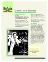 Ethanol from Biomass