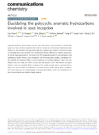 Elucidating the Polycyclic Aromatic Hydrocarbons Involved in Soot Inception