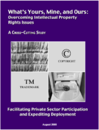 Whats Yours Mine and Ours Overcoming Intellectual Property Rights Issues A CrossCutting Study Facilitating PrivateSector Participation and Expediting Deployment