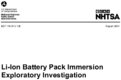 LiIon Battery Pack Immersion Exploratory Investigation