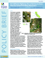 Pilot Study Do California Highways Act as Barriers to Gene Flow for GroundDwelling Mammals Policy Brief