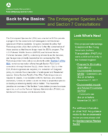 Successes in Stewardship  Back to the Basics The Endangered Species Act and Section 7 Consultations