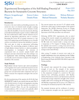 Experimental Investigation of the SelfHealing Potential of Bacteria for Sustainable Concrete Structures Brief