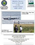 Wildlife Strikes to Civil Aircraft in the United States 19902019