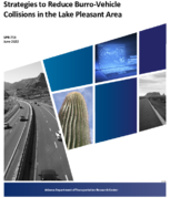 Strategies To Reduce BurroVehicle Collisions in the Lake Pleasant Area