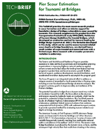 Pier Scour Estimation for Tsunami at Bridges techbrief