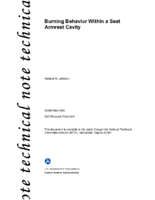 Burning Behavior Within a Seat Armrest Cavity