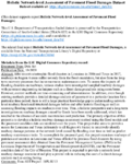 Holistic Networklevel Assessment of Pavement Flood Damages supporting datasets