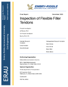 Inspection of Flexible Filler Tendons